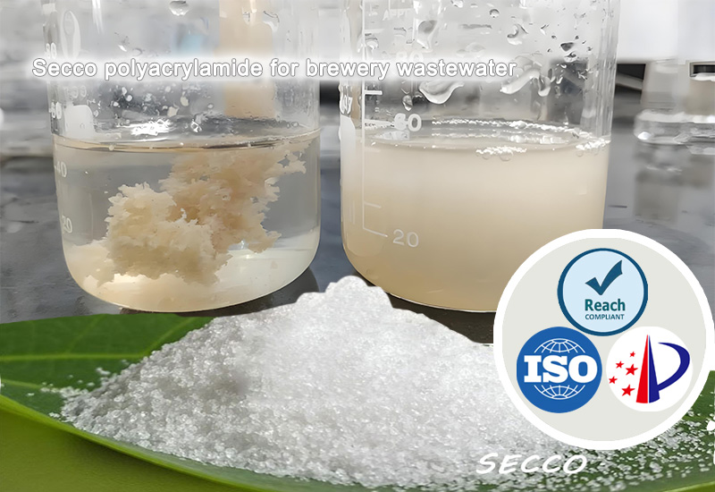 Pemilihan dan Keberkesanan Polyacrylamide (PAM) dalam Rawatan Air Sisa Kilang Bir